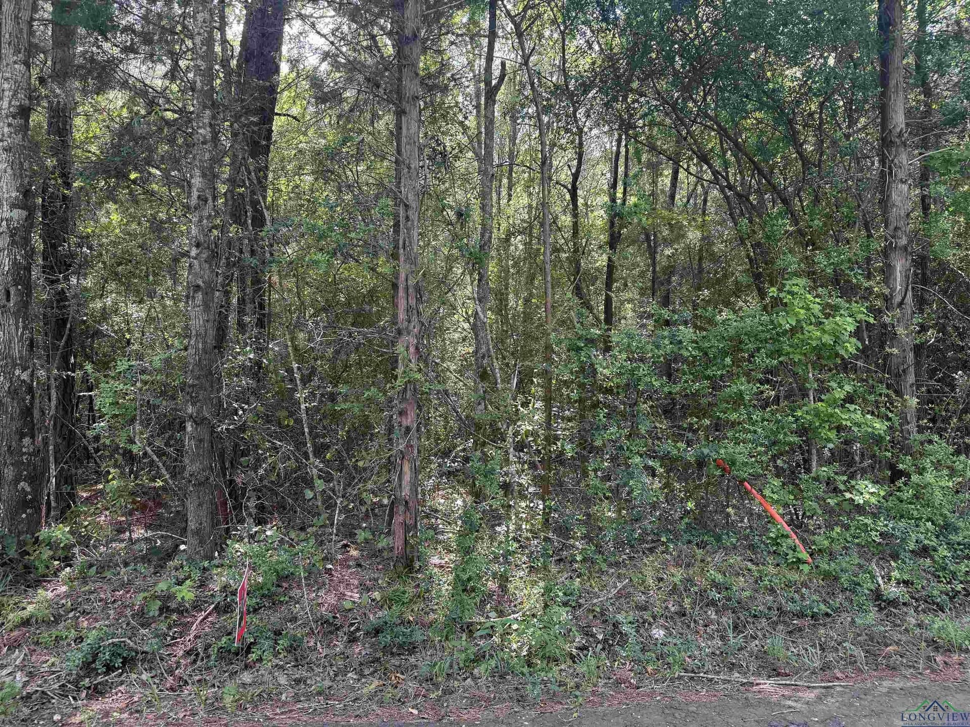 44 acres in Rusk County