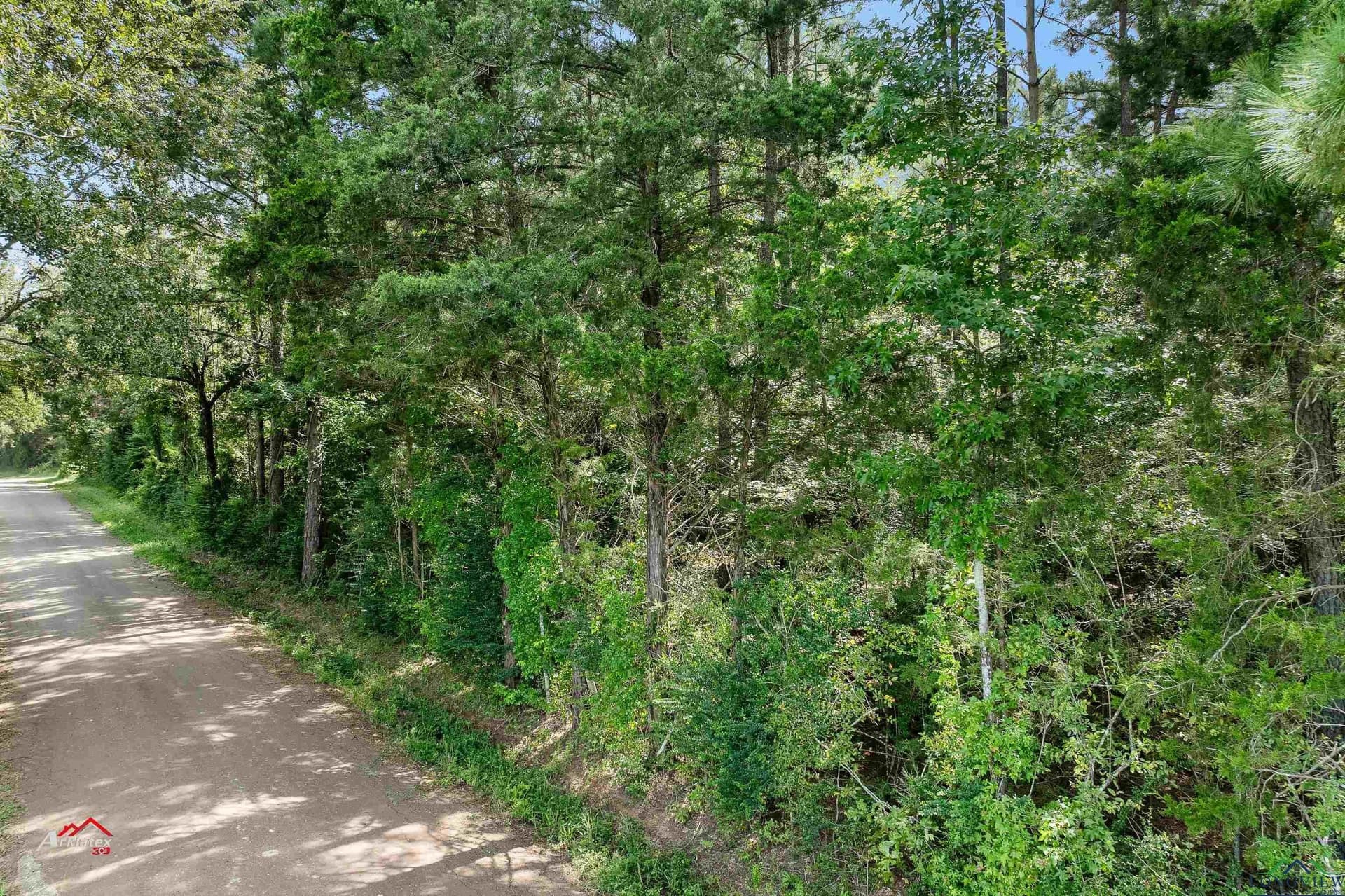 44 acres in Rusk County featured view