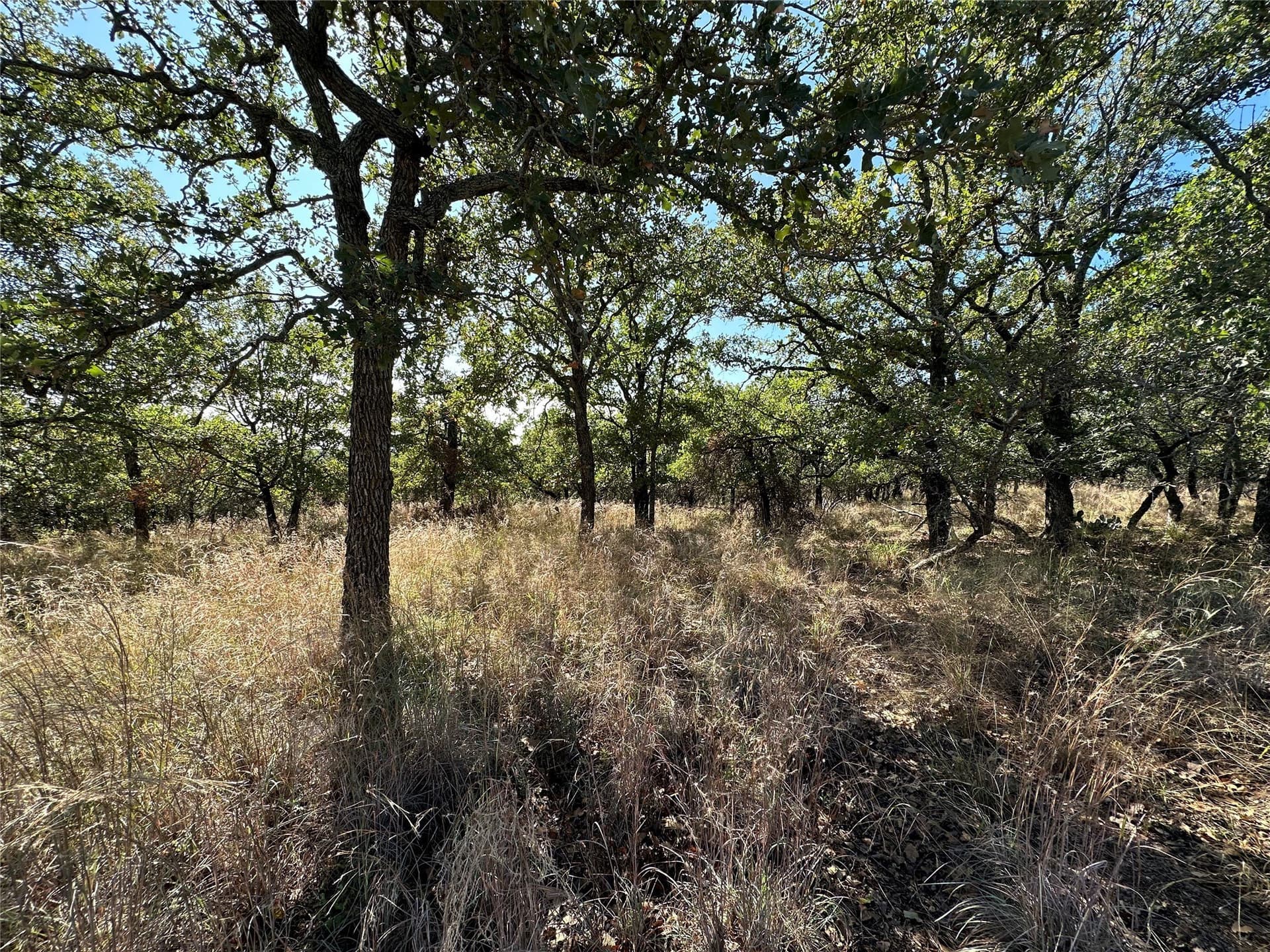 0.34 acres in Brown County gallery image 3
