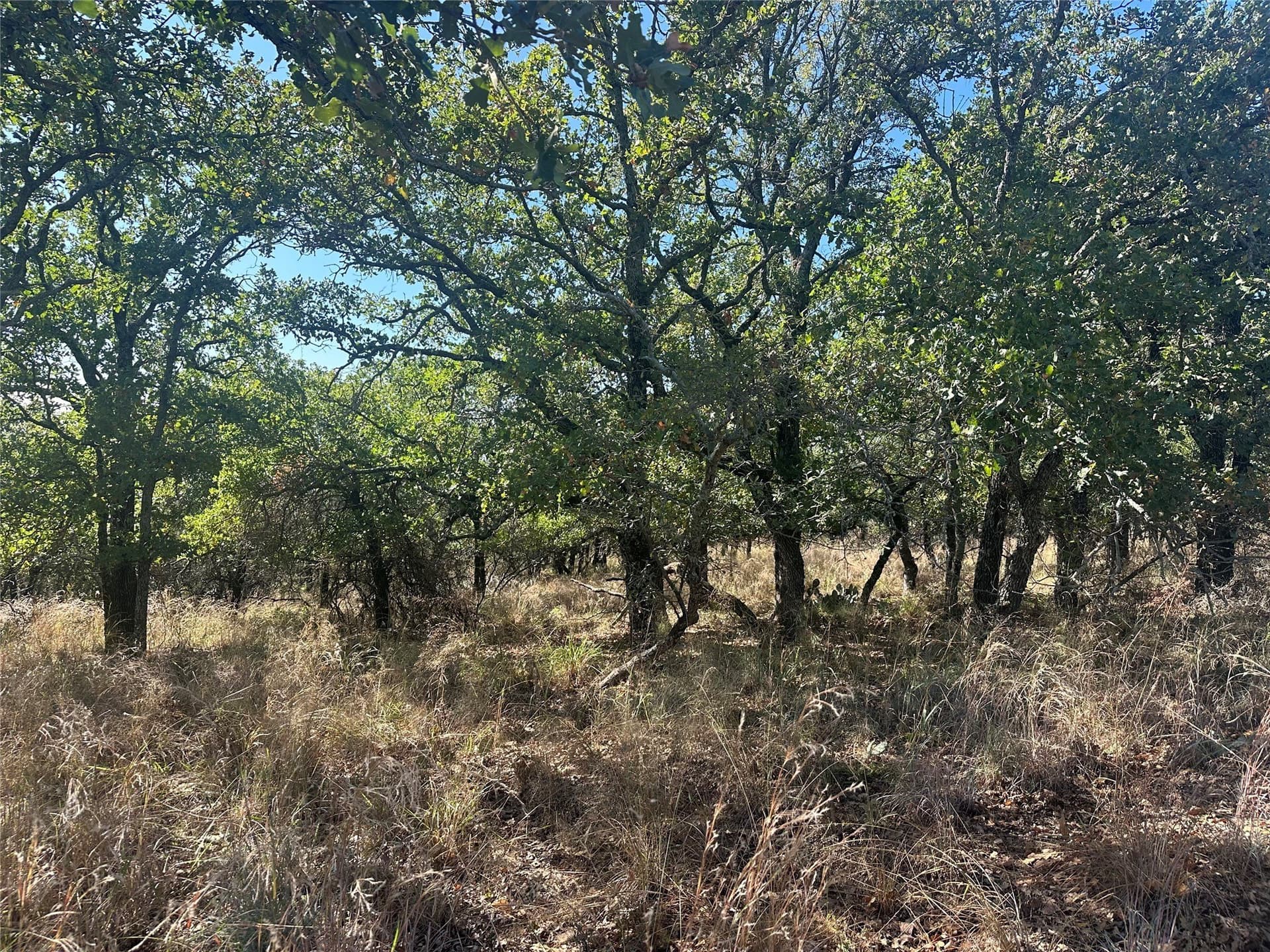 0.34 acres in Brown County gallery image 4