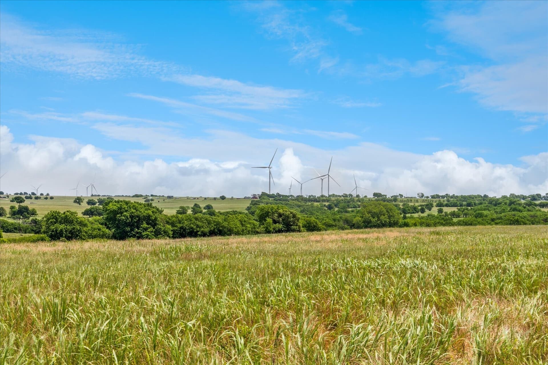 84.42 acres in Cooke County - photo 19
