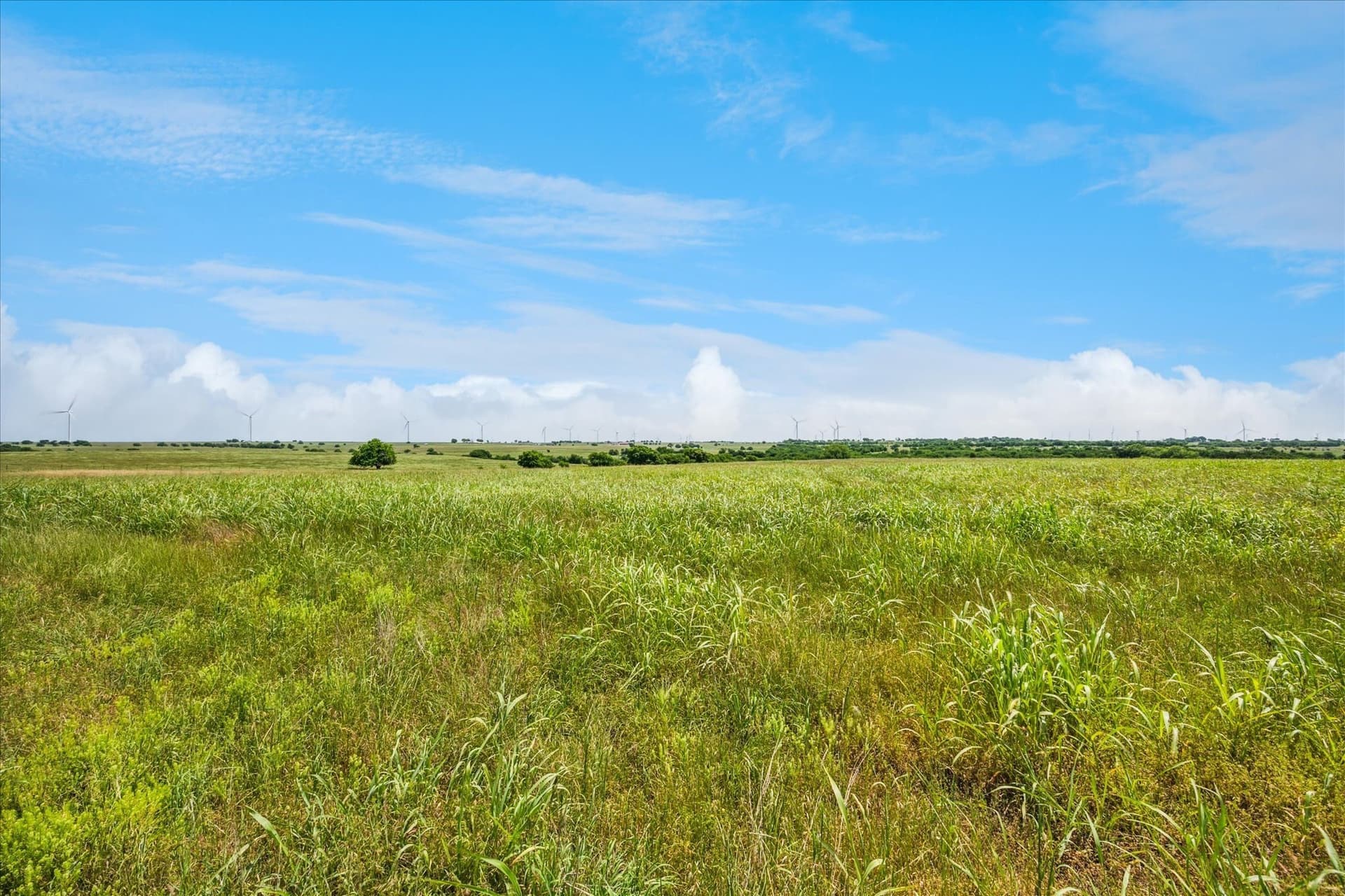 84.42 acres in Cooke County - photo 17
