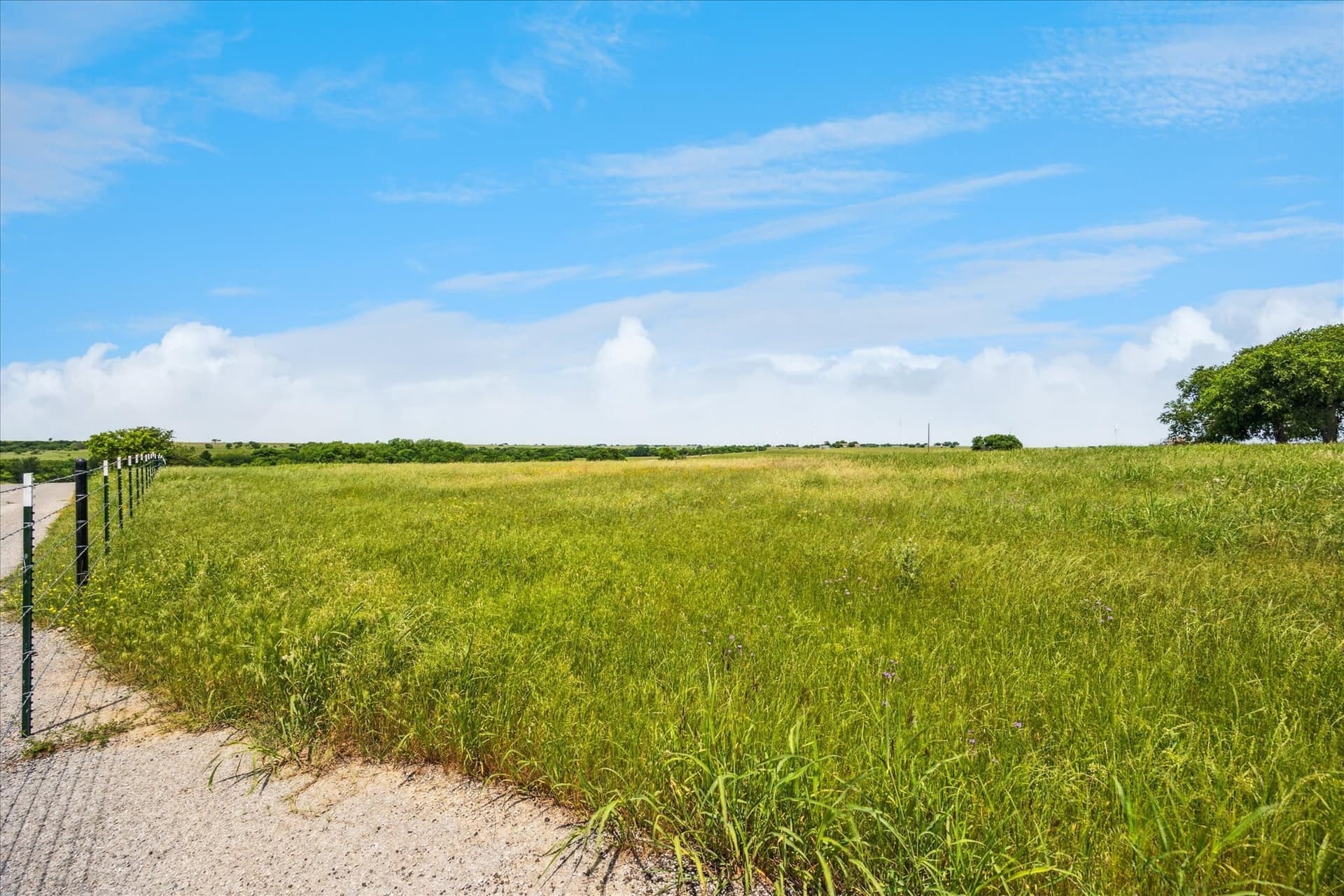 84.42 acres in Cooke County - photo 14