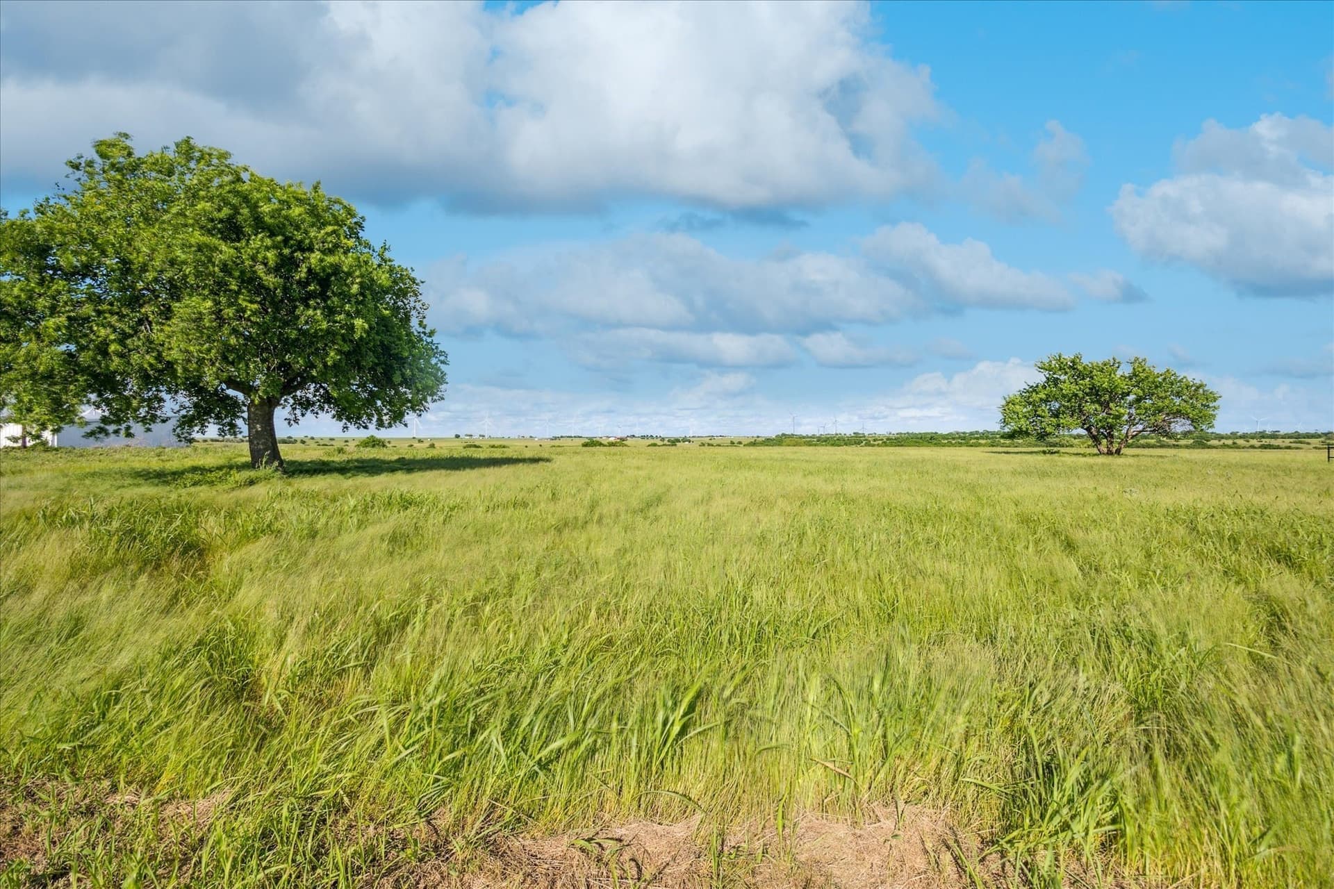 84.42 acres in Cooke County - photo 12