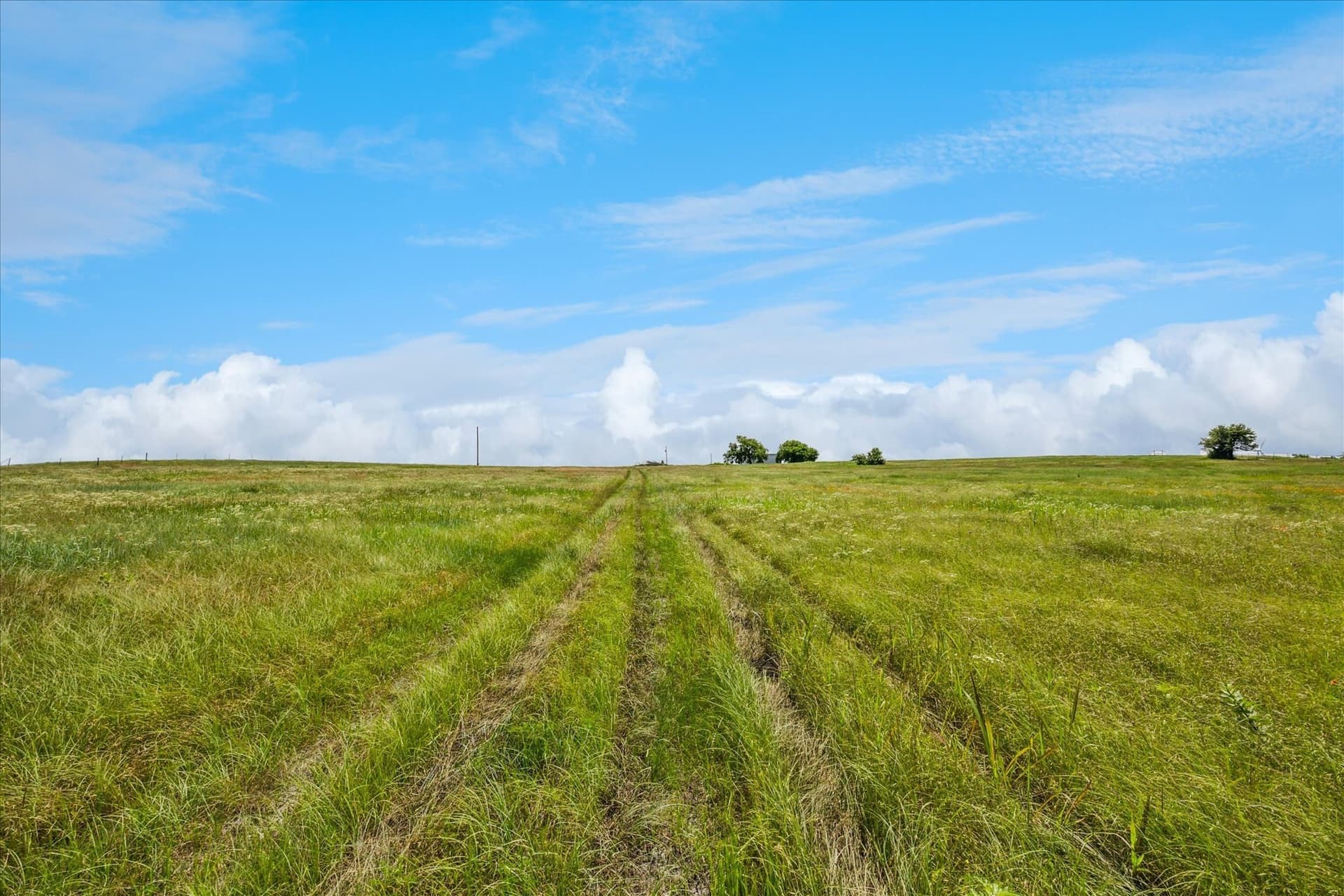 84.42 acres in Cooke County - photo 15