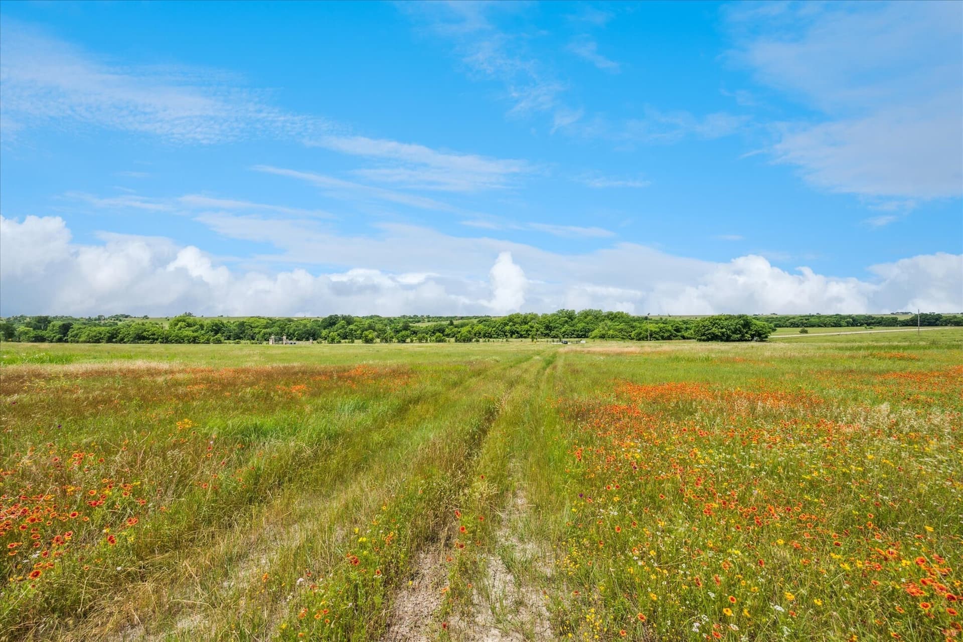 84.42 acres in Cooke County - photo 16