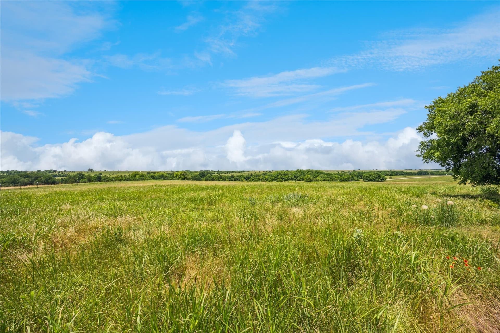 84.42 acres in Cooke County - photo 13