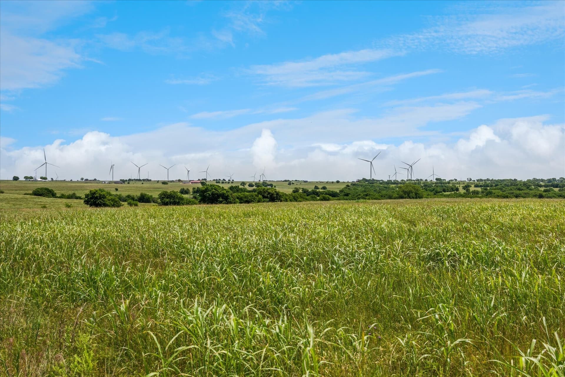 84.42 acres in Cooke County - photo 18