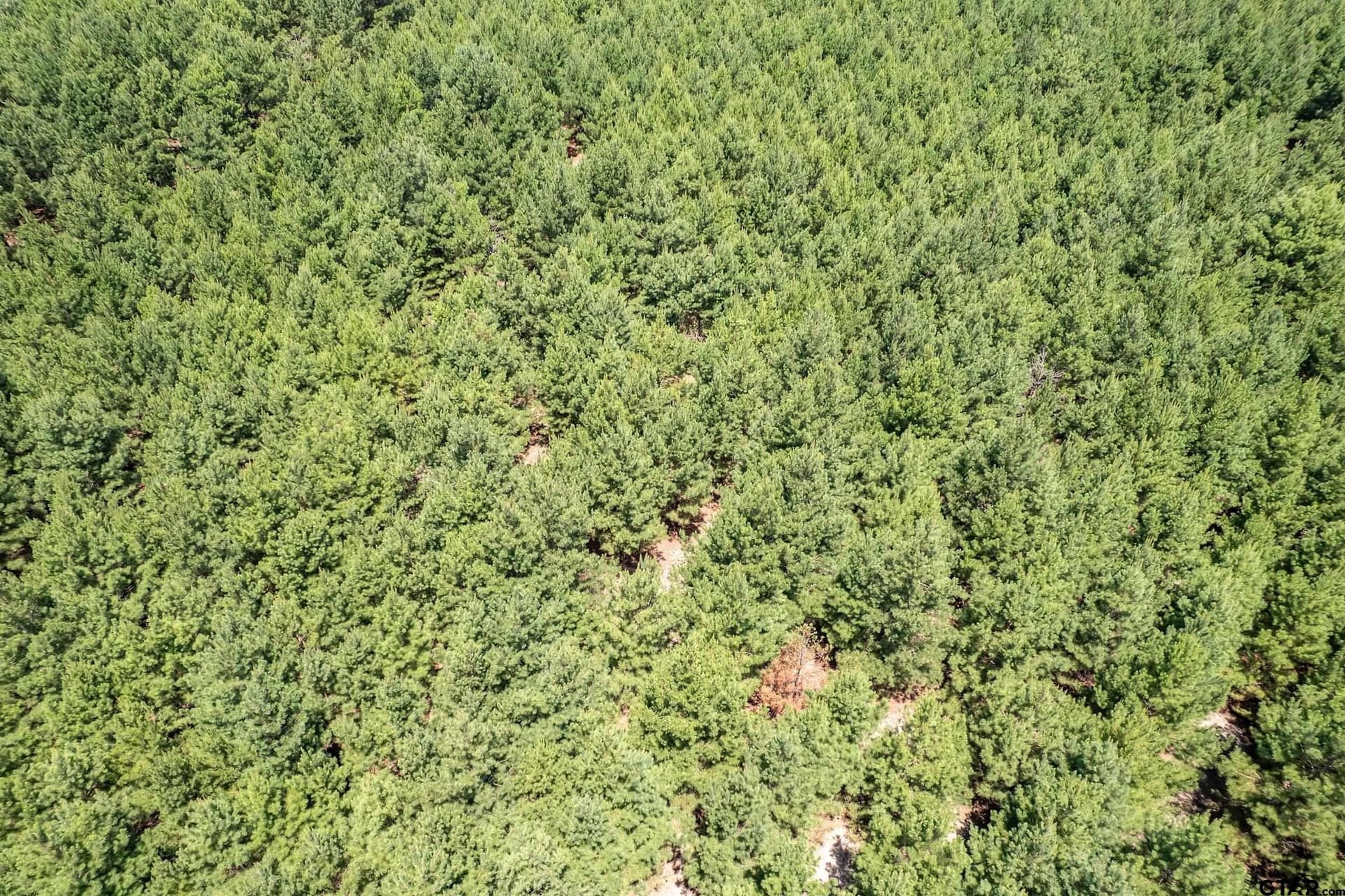 28.32 acres in Smith County - photo 32