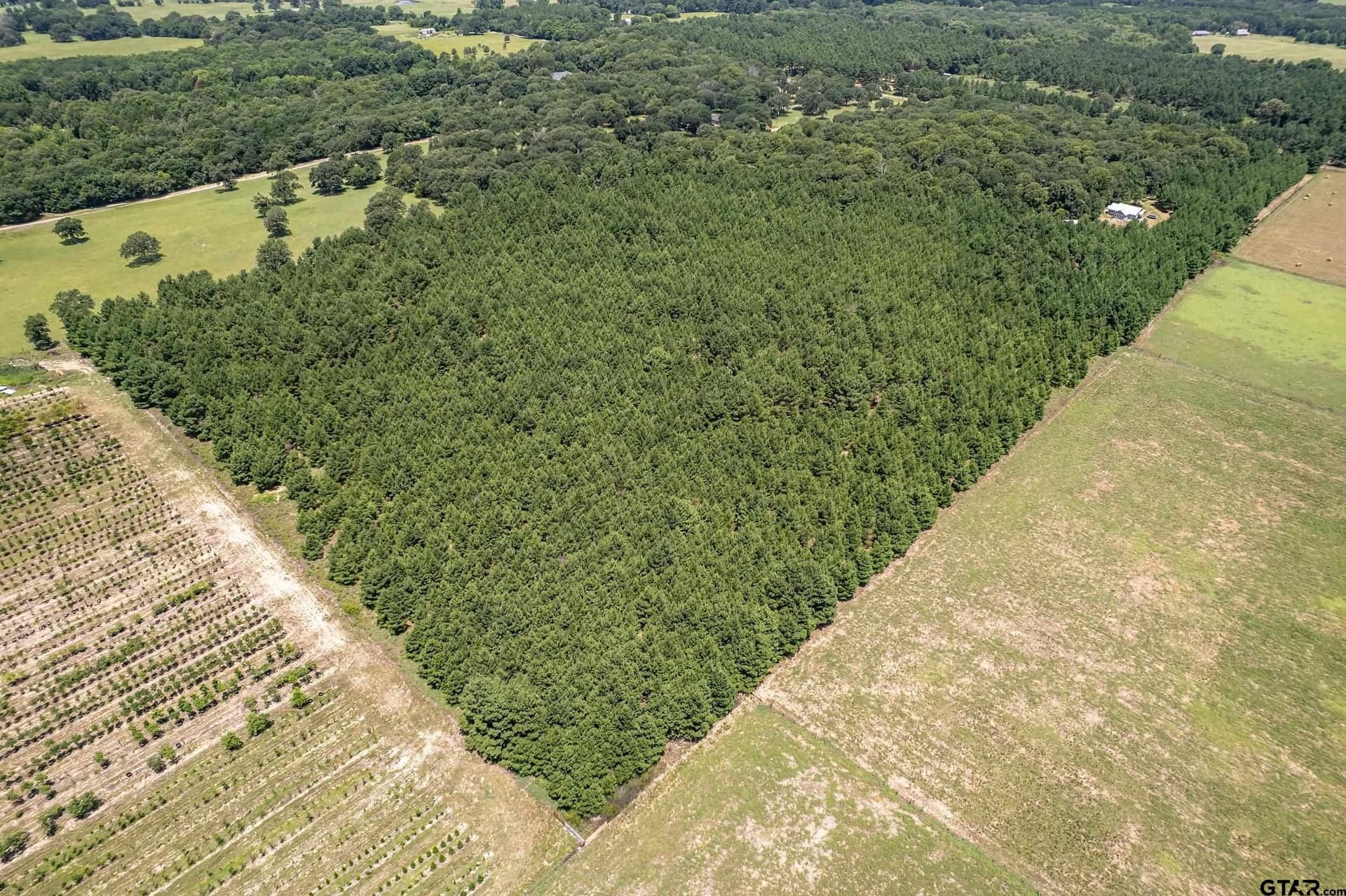28.32 acres in Smith County - photo 11