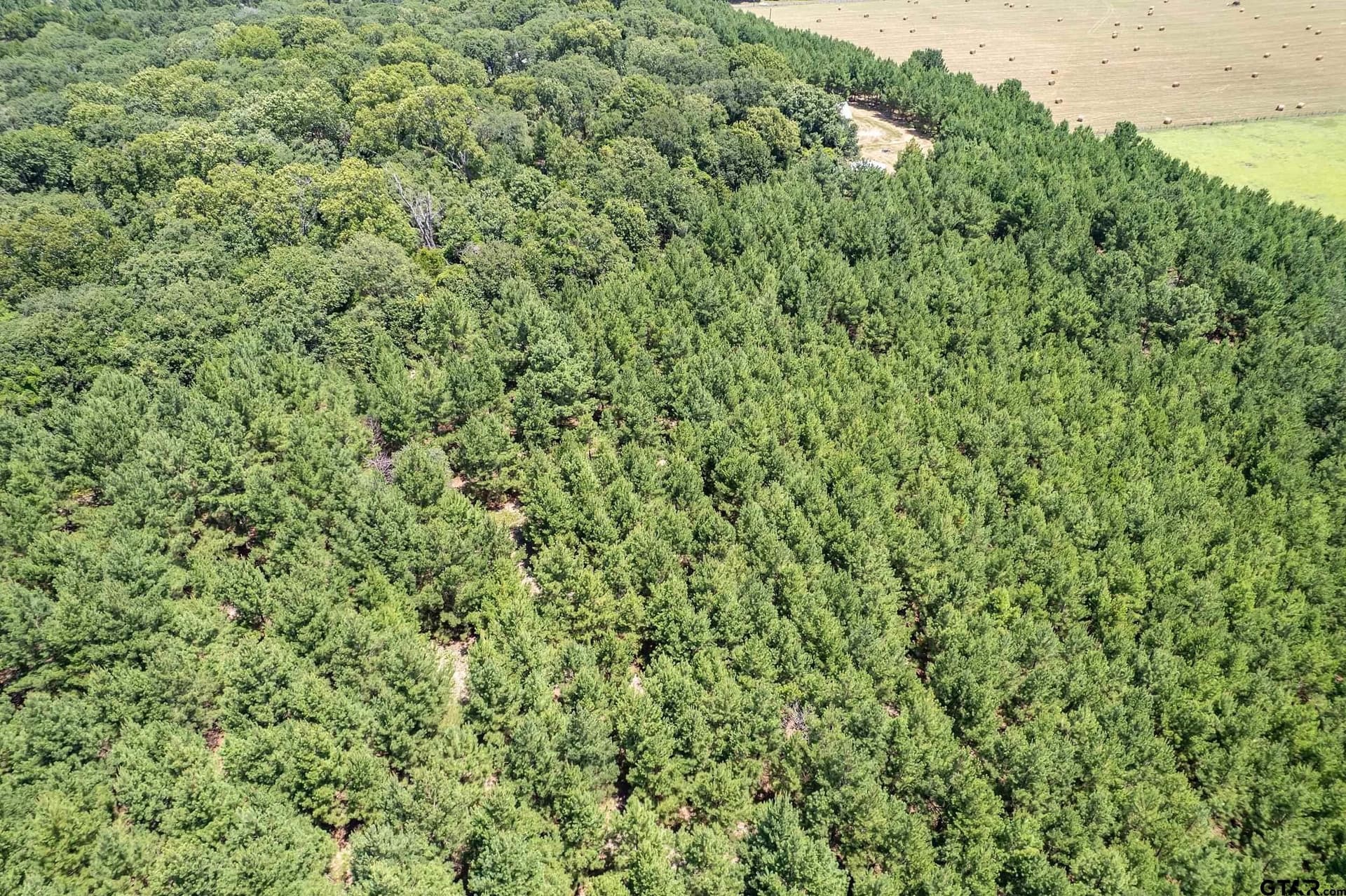 28.32 acres in Smith County - photo 33