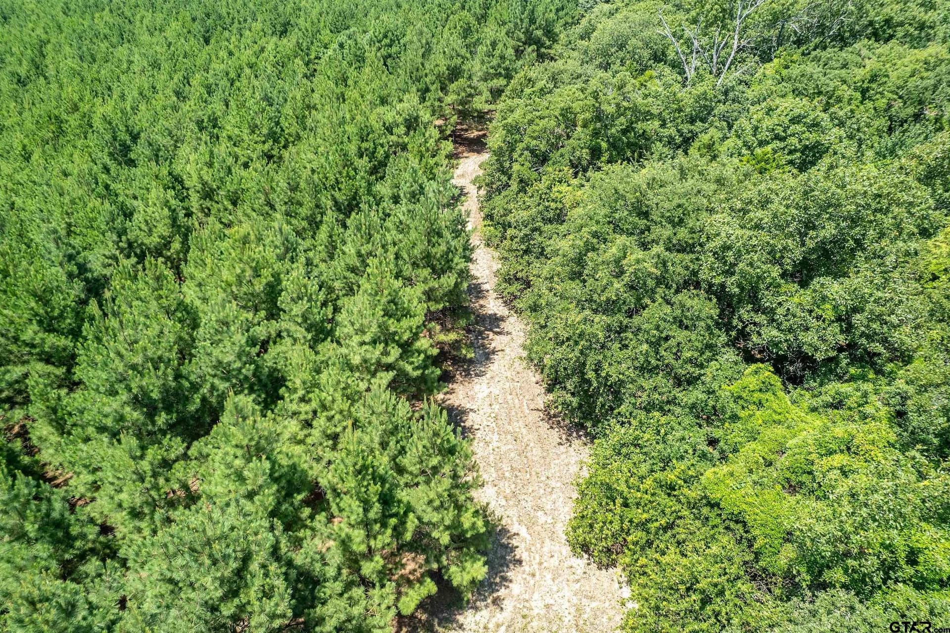 28.32 acres in Smith County - photo 9