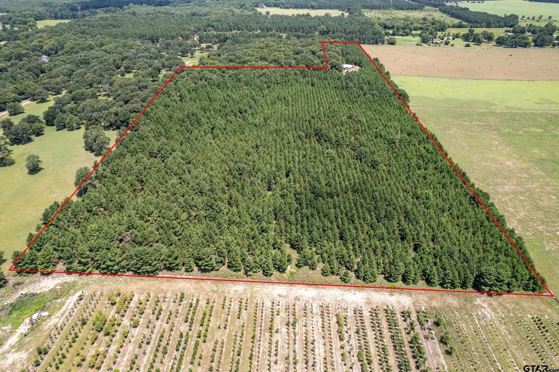 28.32 acres in Smith County - photo 13