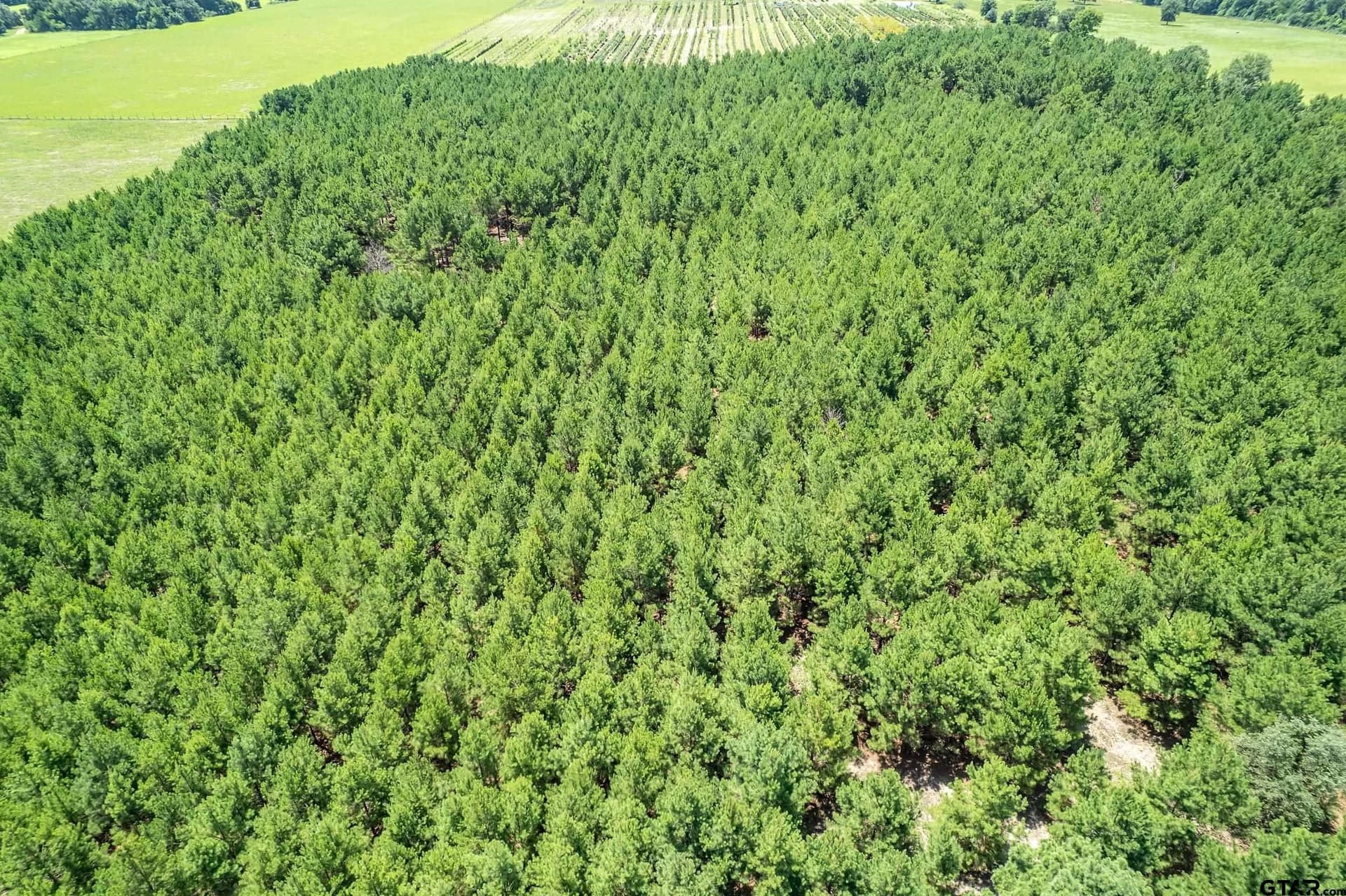 28.32 acres in Smith County - photo 7