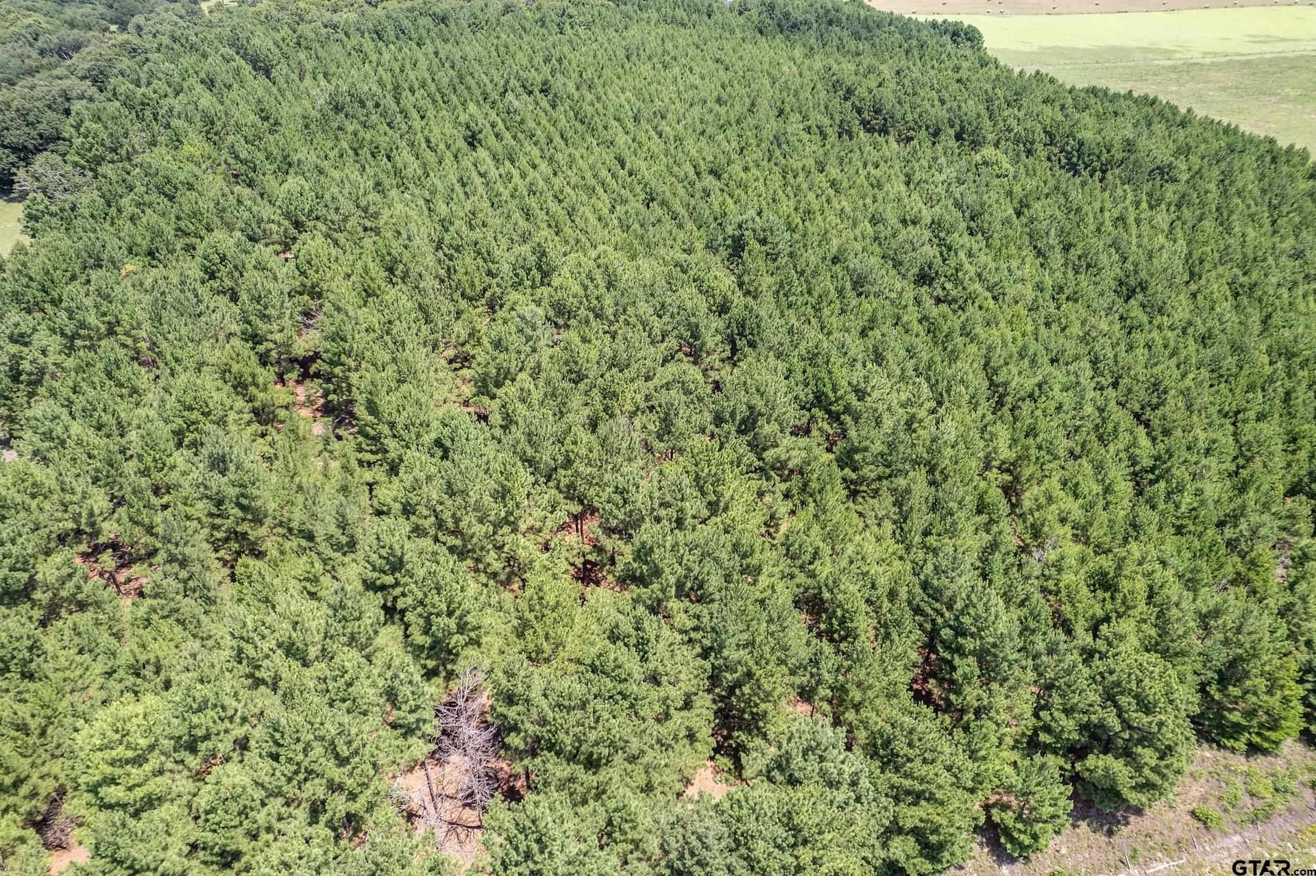 28.32 acres in Smith County - photo 12