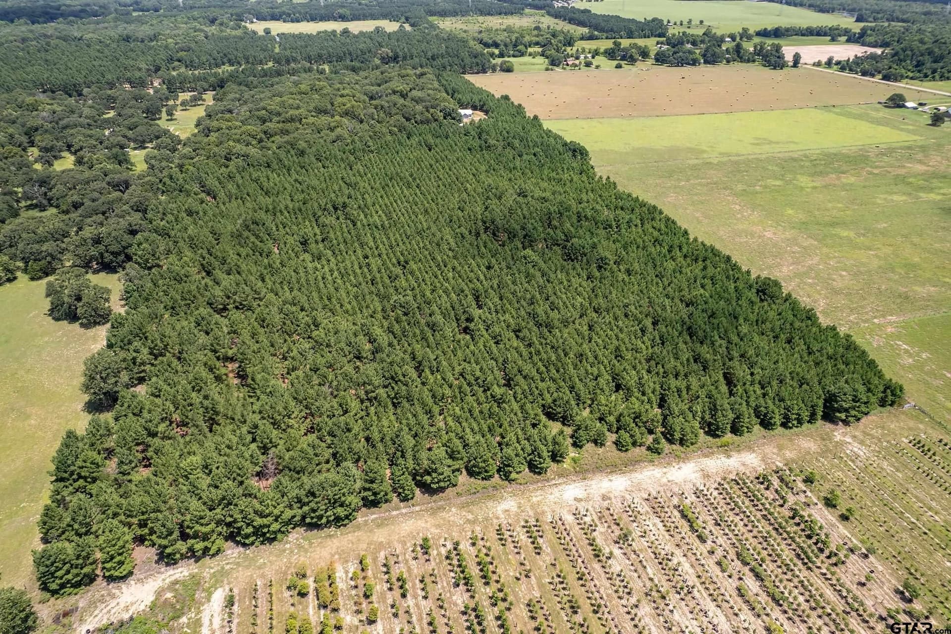 28.32 acres in Smith County - photo 30