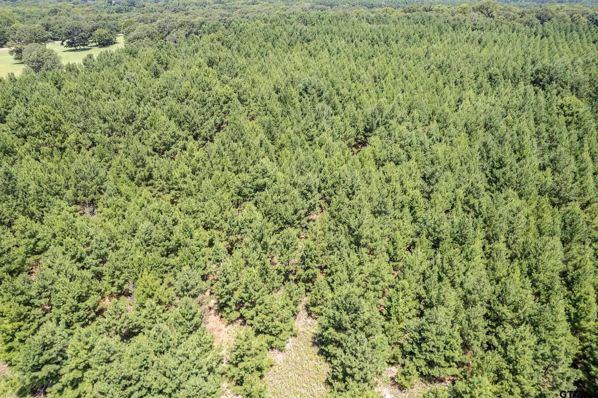 28.32 acres in Smith County - photo 31