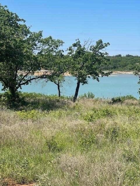 1 acres in Eastland County - photo 15