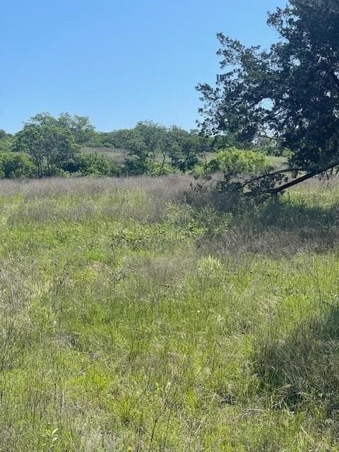 1 acres in Eastland County - photo 11