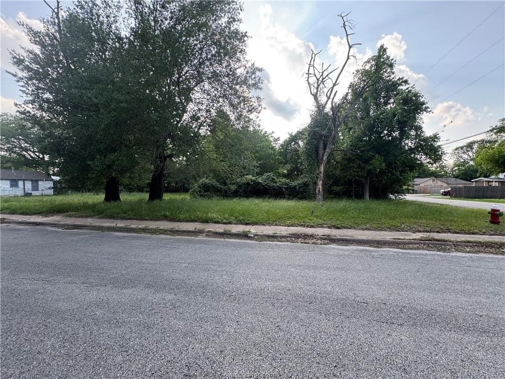 0.26 acres in Brazos County gallery image 2