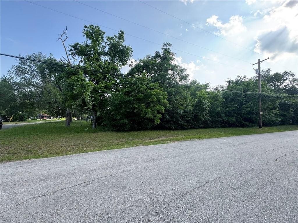 0.26 acres in Brazos County gallery image 4