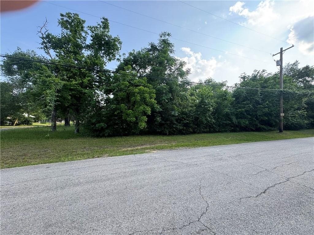 0.26 acres in Brazos County gallery image 3