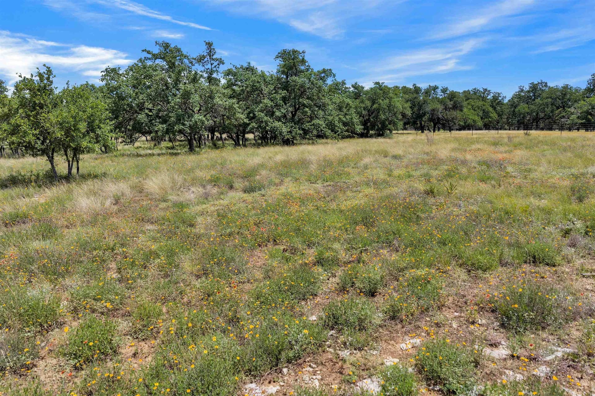 3 acres in Blanco County - photo 30