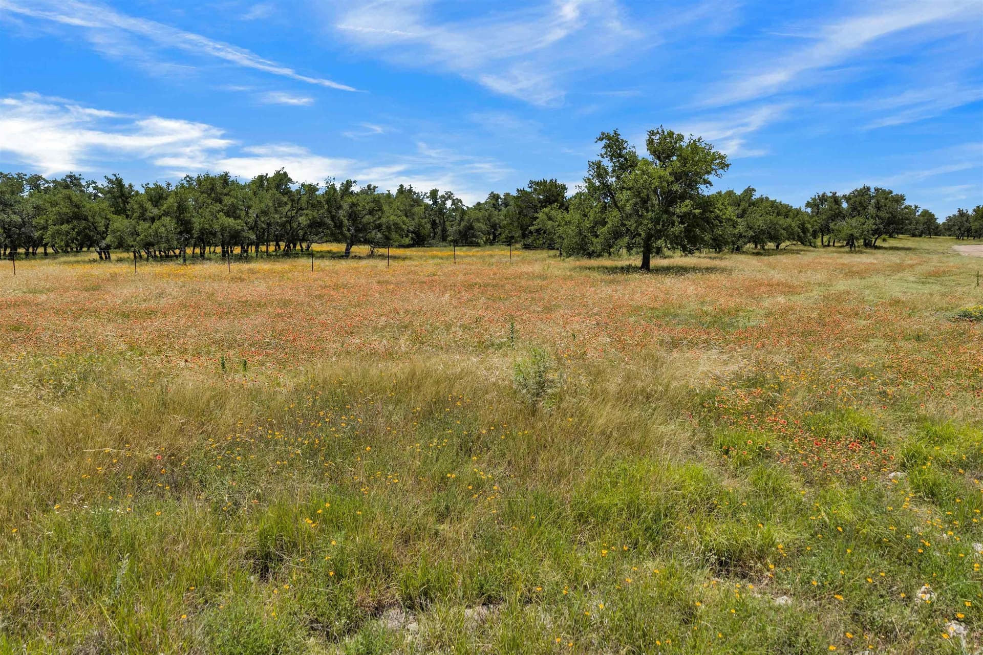 3 acres in Blanco County - photo 25