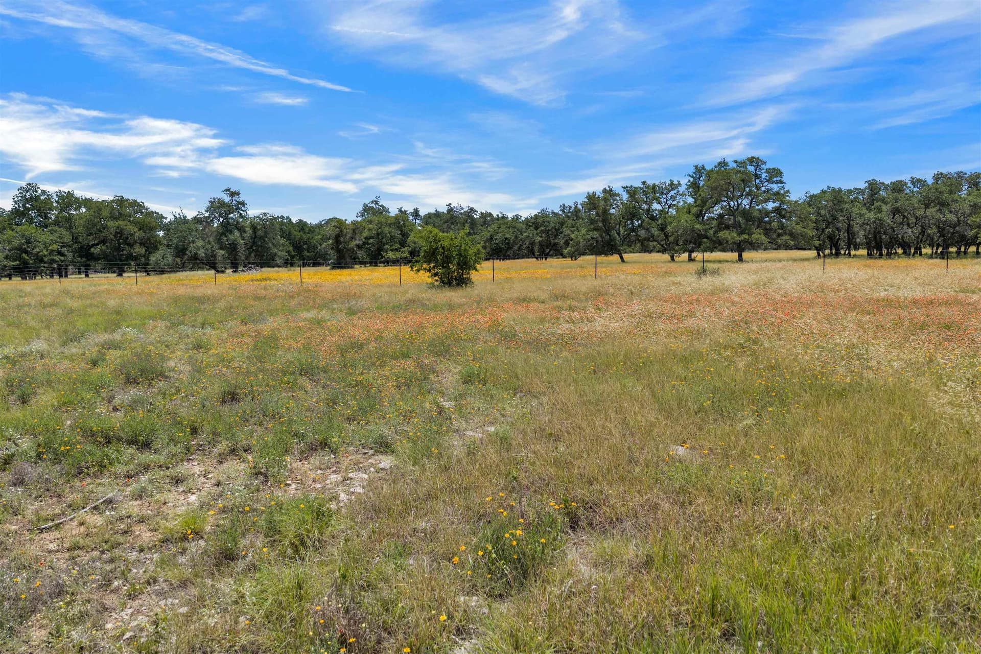 3 acres in Blanco County - photo 24