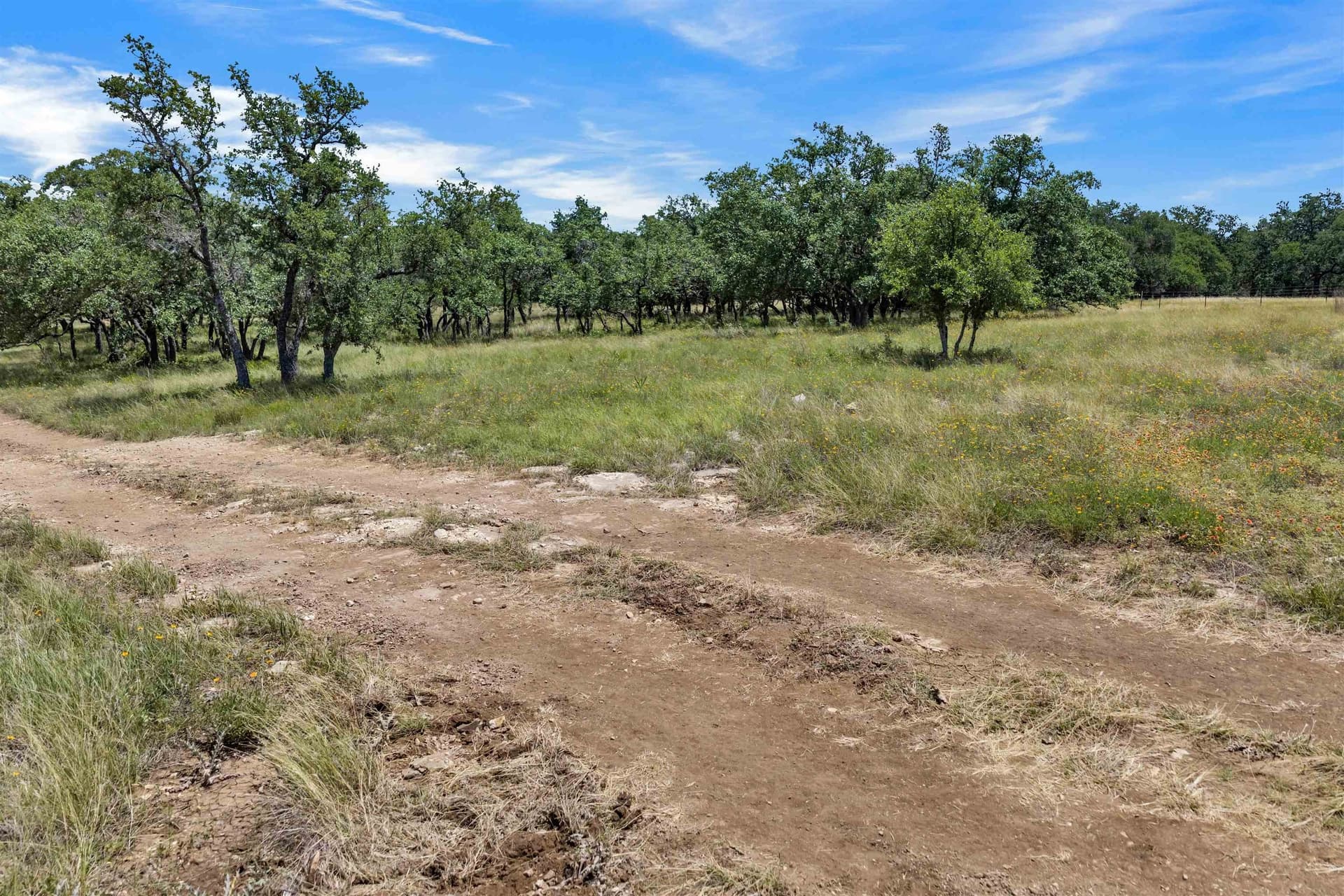 3 acres in Blanco County - photo 23