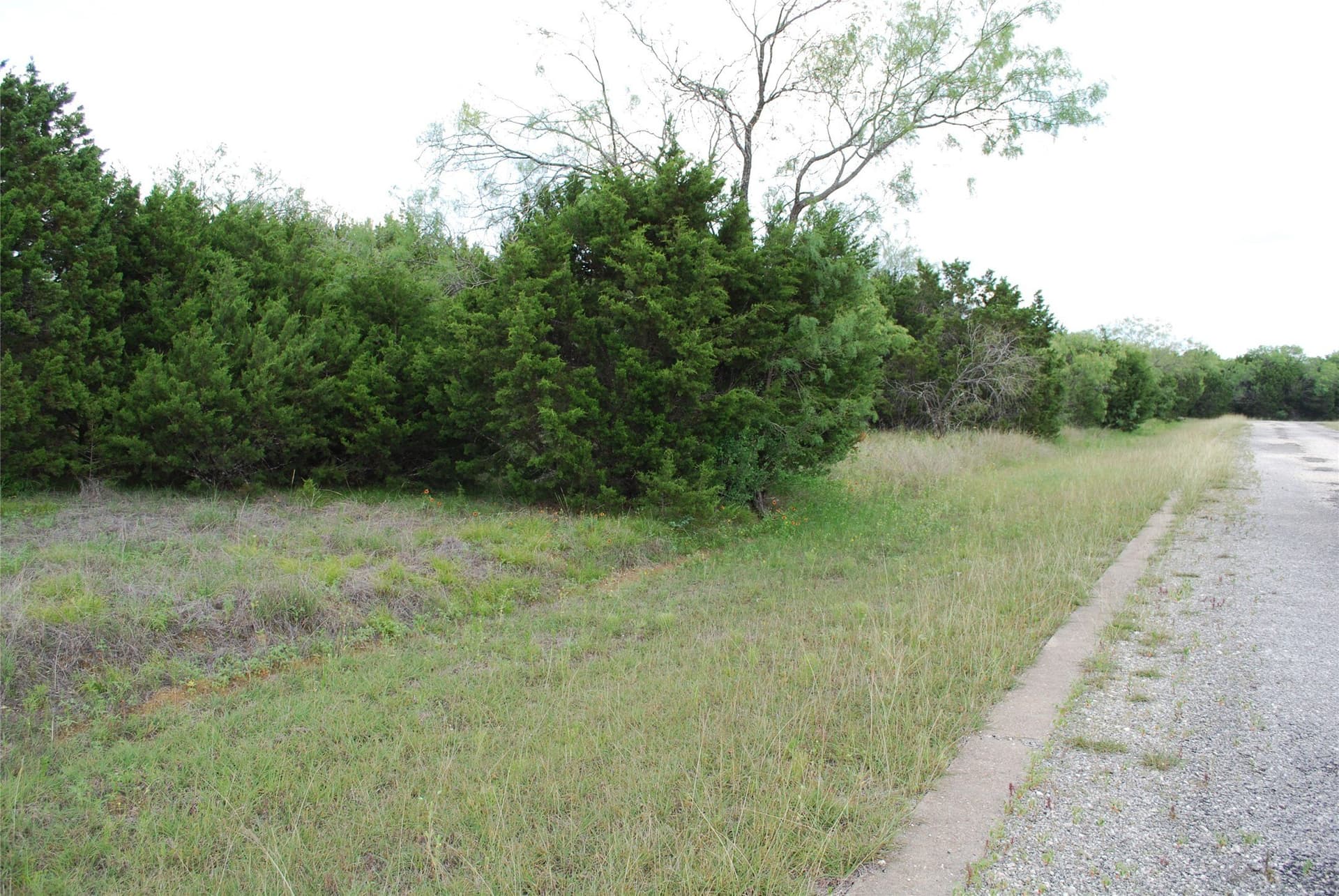 0.26 acres in Hill County - photo 6
