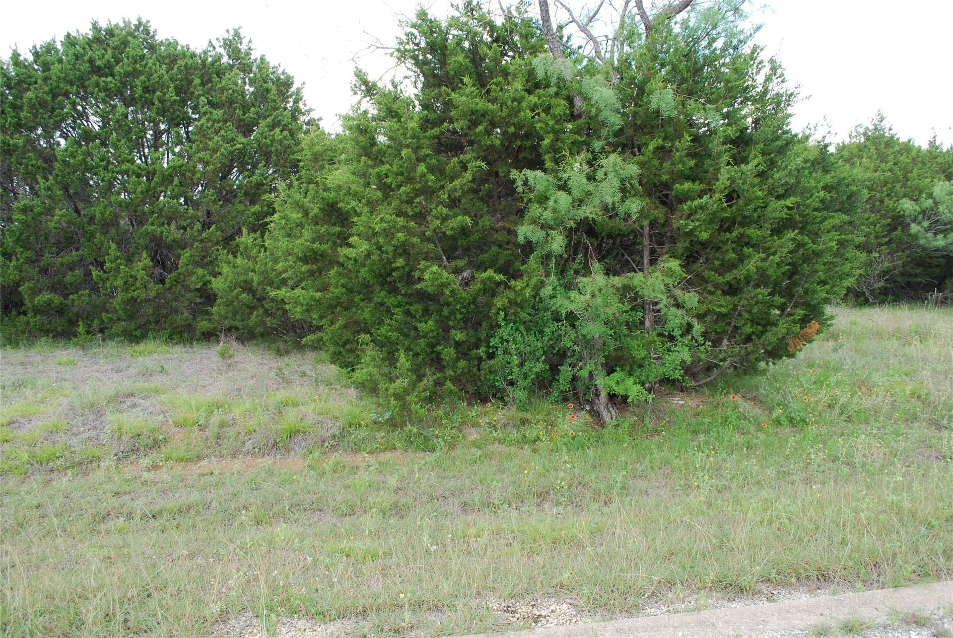 0.26 acres in Hill County gallery image 4