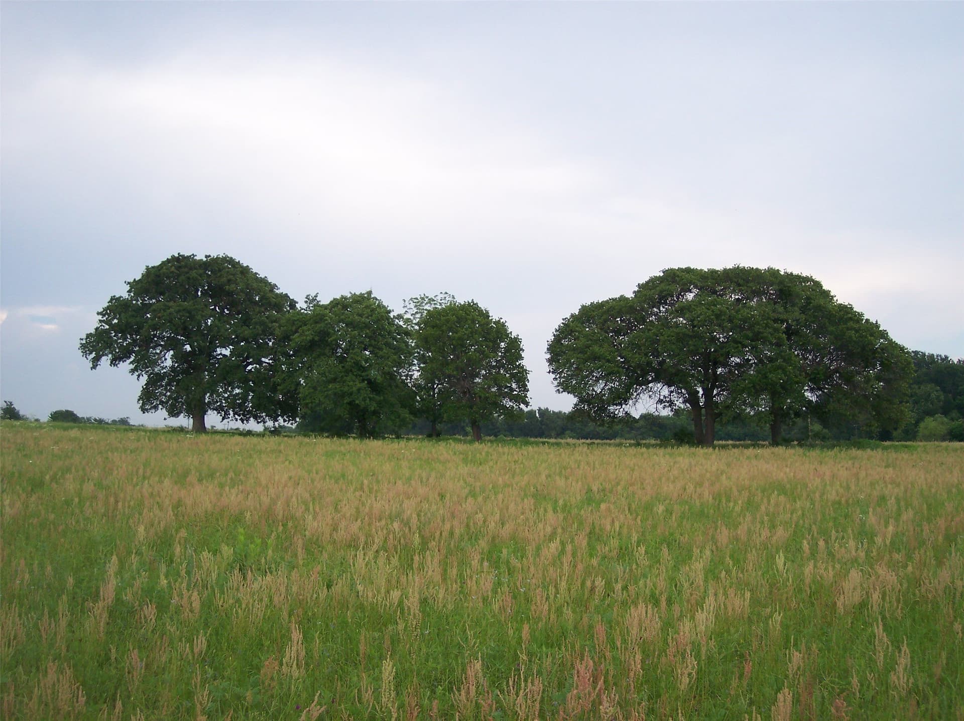24.99 acres in Johnson County - photo 27