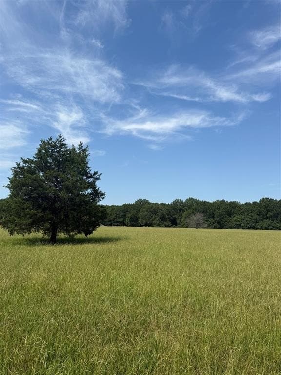 20 acres in Red River (TX) County