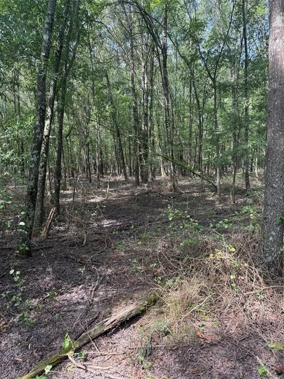 20 acres in Red River (TX) County featured view