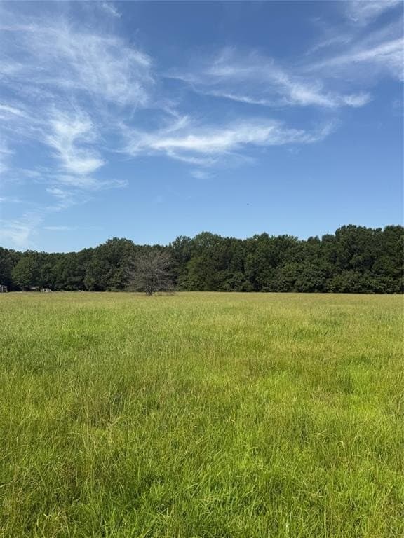 20 acres in Red River (TX) County gallery image 3