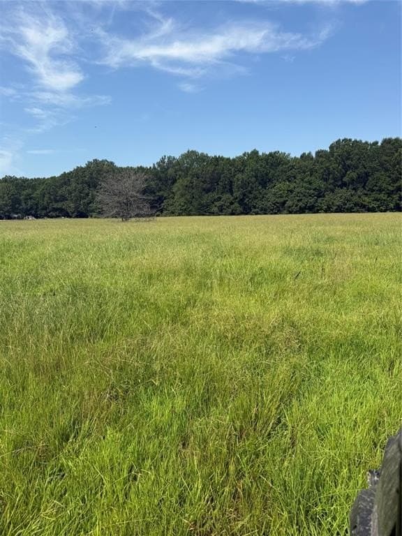 20 acres in Red River (TX) County gallery image 4