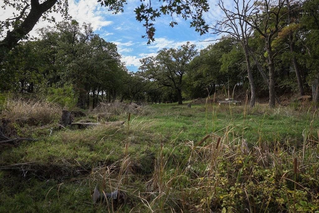 0 acres in Montague County - photo 19