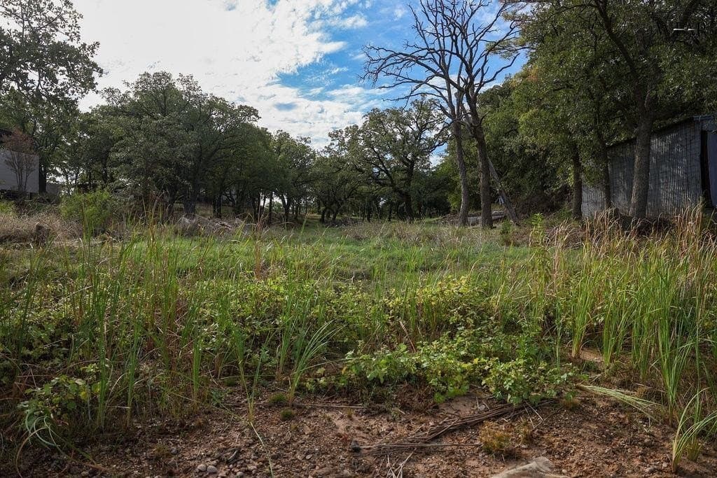 0 acres in Montague County - photo 21