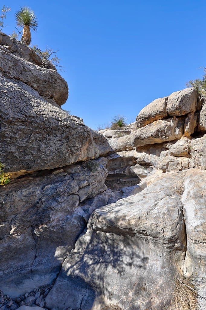 655.3 acres in Brewster County - photo 13