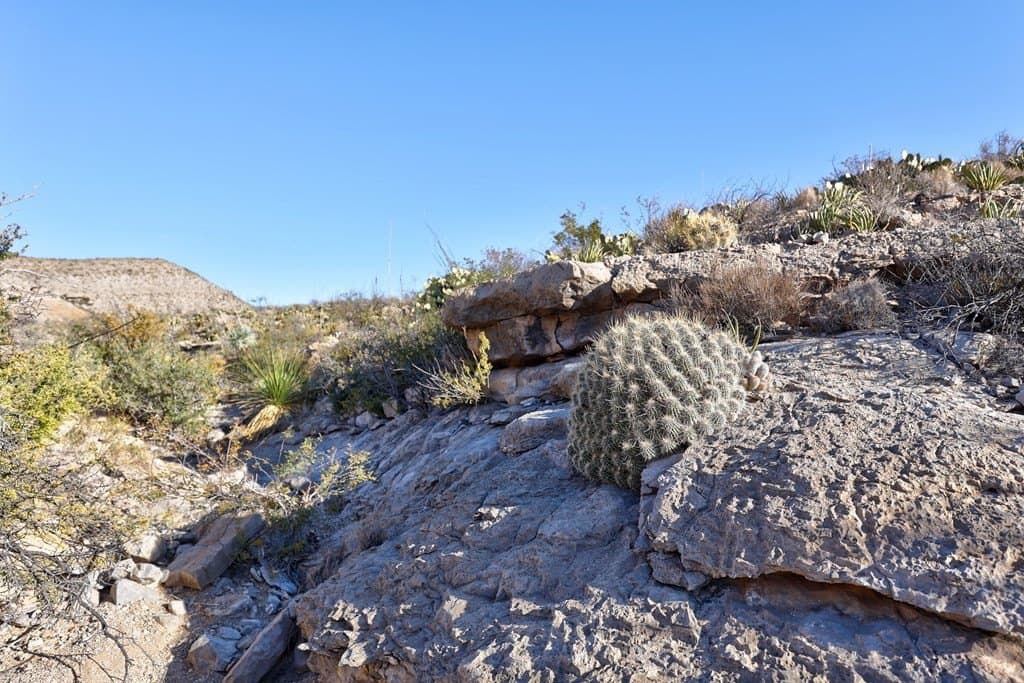 655.3 acres in Brewster County - photo 7