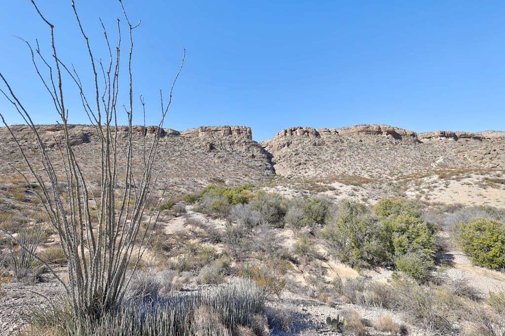 655.3 acres in Brewster County - photo 9