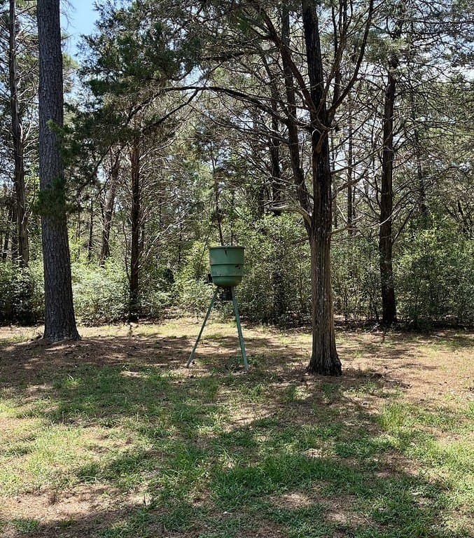 5 acres in Colorado County - photo 19