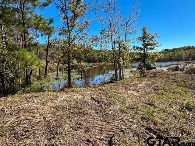 19 acres in Rusk County featured view