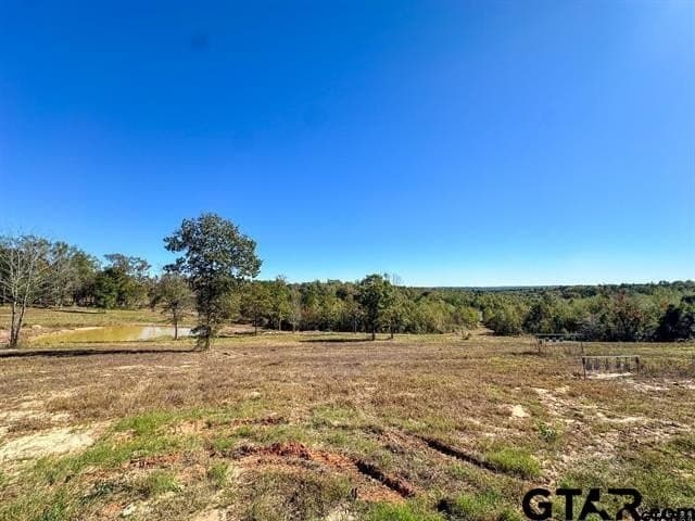 19 acres in Rusk County gallery image 4