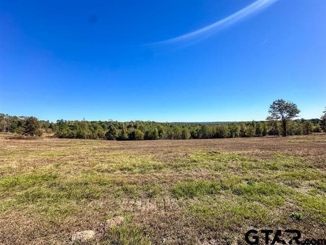 19 acres in Rusk County gallery image 3