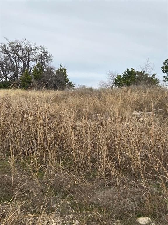 6.05 acres in Coryell County gallery image 4