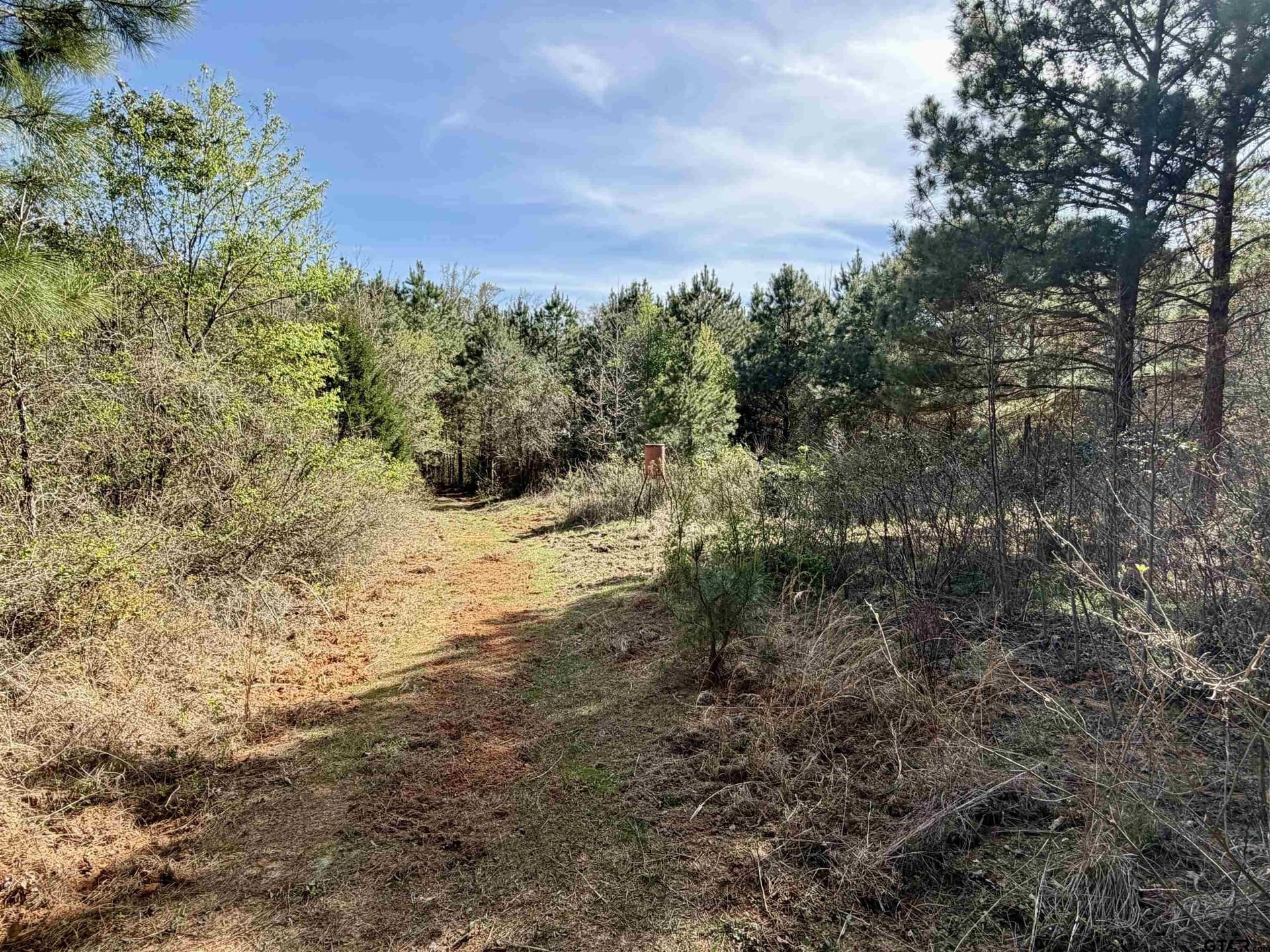 100 acres in Upshur County gallery image 2