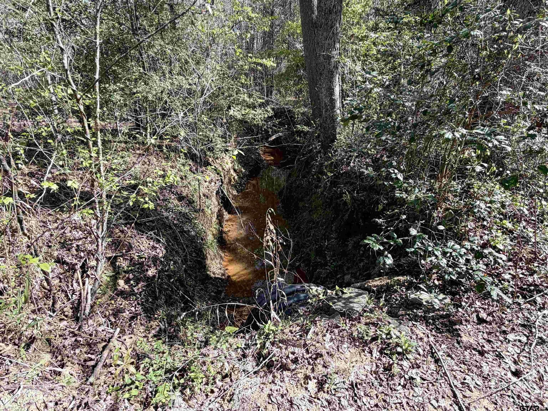 100 acres in Upshur County gallery image 3