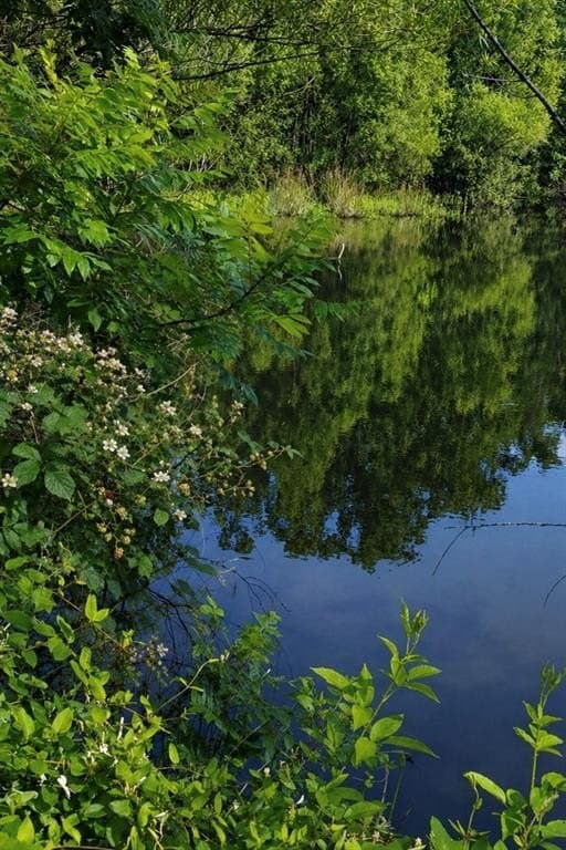 20 acres in Wood County